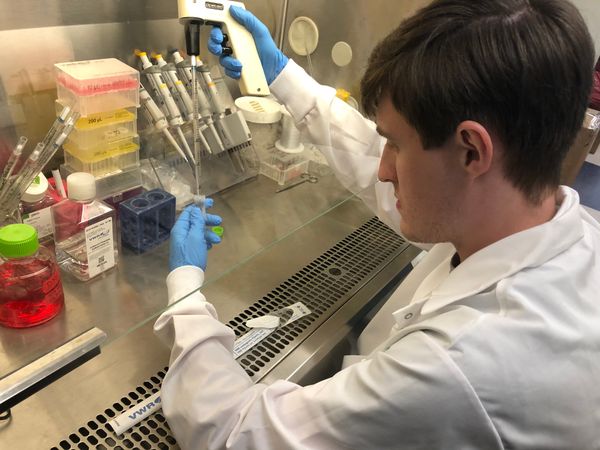Alex peforming cell culture